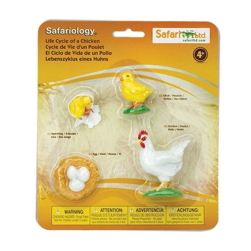 Safari Ltd Life Cycle Of A Chicken Safariology